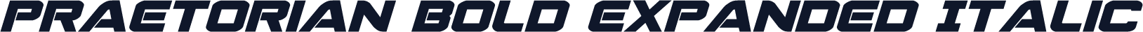 Praetorian Bold Expanded Italic