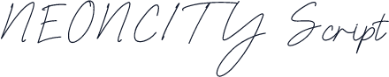 NEONCITY Script