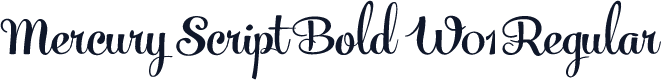 Mercury Script Bold W01 Regular