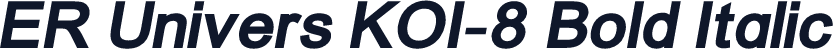 ER Univers KOI-8 Bold Italic