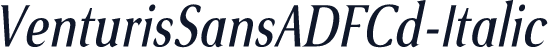 VenturisSansADFCd-Italic