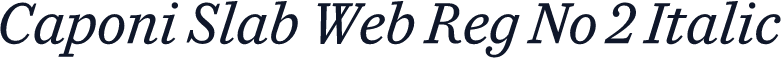 Caponi Slab Web Reg No 2 Italic