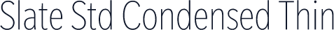 Slate Std Condensed Thin