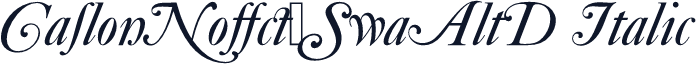 CaslonNo540SwaAltD Italic