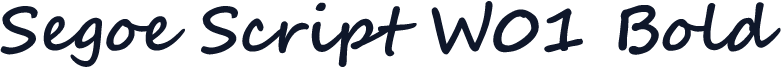 Segoe Script W01 Bold