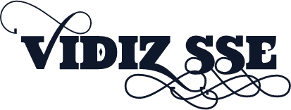 VIDIZ ssE
