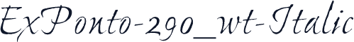 ExPonto-290_wt-Italic