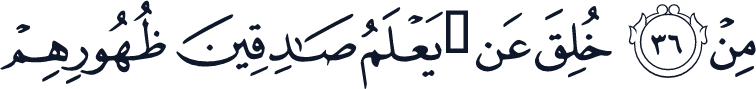 QCF_P325