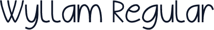 Wyllam Regular
