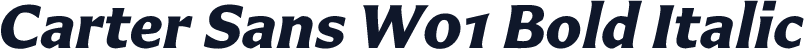 Carter Sans W01 Bold Italic