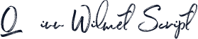 Q˝inn Wilmet Script