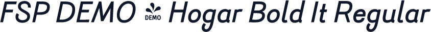 FSP DEMO - Hogar Bold It Regular