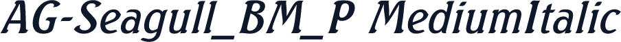 AG-Seagull_BM_P MediumItalic