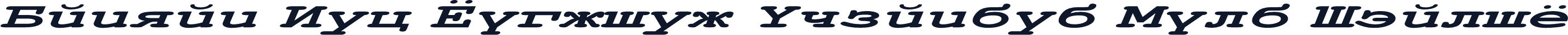 Danzan New Courier Expanded Bold Italic