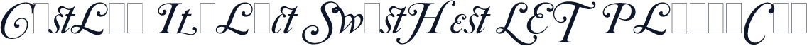 Caslon Italic Swashes LET Plain:1.0