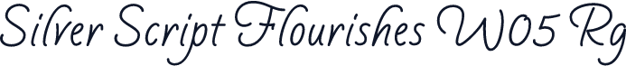 Silver Script Flourishes W05 Rg