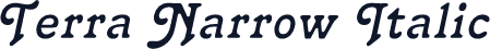 Terra Narrow Italic
