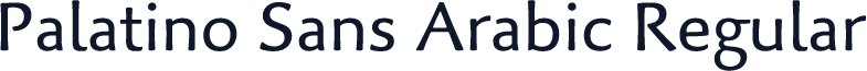 Palatino Sans Arabic Regular