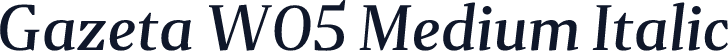 Gazeta W05 Medium Italic