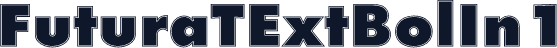 FuturaTExtBolIn1