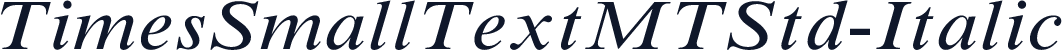 TimesSmallTextMTStd-Italic