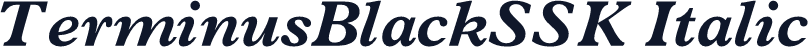 TerminusBlackSSK Italic