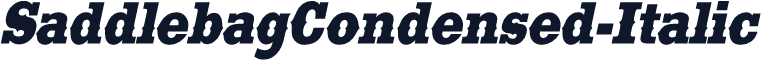SaddlebagCondensed-Italic