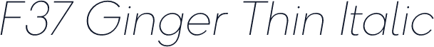 F37 Ginger Thin Italic