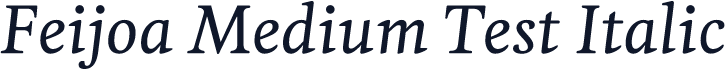 Feijoa Medium Test Italic