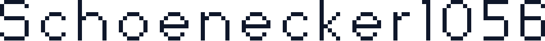 Schoenecker1056