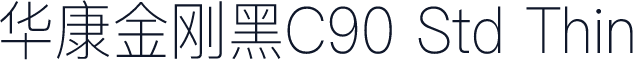 华康金刚黑C90 Std Thin