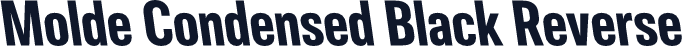Molde Condensed Black Reverse