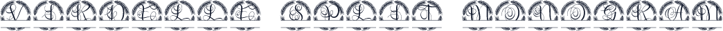 Virdelle SPlit Monogram