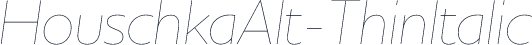 HouschkaAlt-ThinItalic