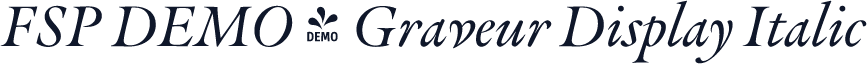 FSP DEMO - Graveur Display Italic
