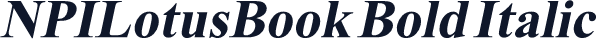 NPILotusBook Bold Italic