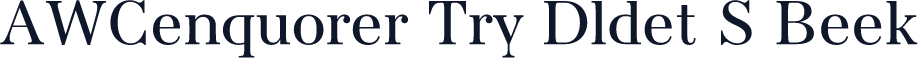 AWConqueror Try Didot S Book