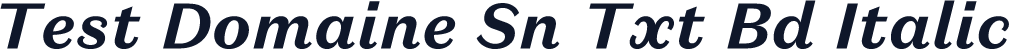 Test Domaine Sn Txt Bd Italic