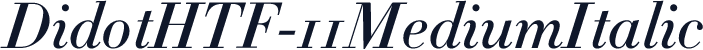 DidotHTF-11MediumItalic