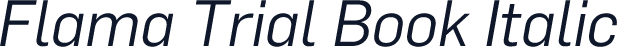 Flama Trial Book Italic