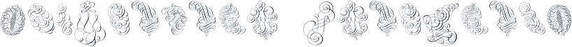 Schwandner Ornaments