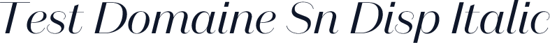 Test Domaine Sn Disp Italic