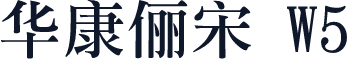 华康俪宋 W5