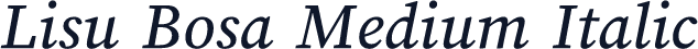 Lisu Bosa Medium Italic
