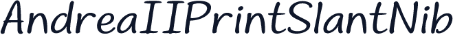AndreaIIPrintSlantNib