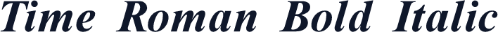 Time Roman Bold Italic