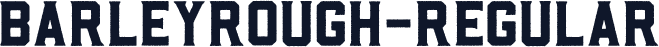 BarleyRough-Regular