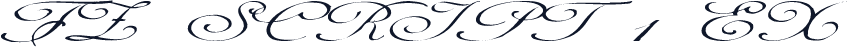 FZ SCRIPT 1 EX
