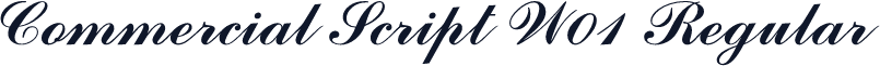 Commercial Script W01 Regular