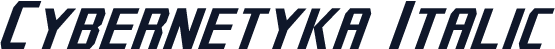 Cybernetyka Italic